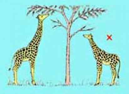evolutiontheory.jpg